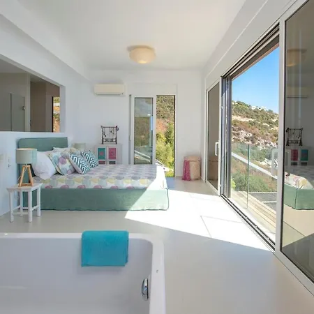 Arkoudaki Luxurious Escape With Infinity Pool & Sea Access